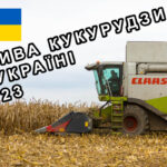 corn video